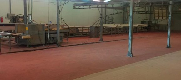 10500m² Property in Imathia, Greece No. 6003 13