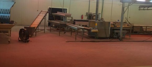 10500m² Property in Imathia, Greece No. 6003 11