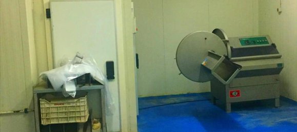 10500m² Property in Imathia, Greece No. 6003 7