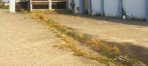 10500m² Property in Imathia, Greece No. 6003 3