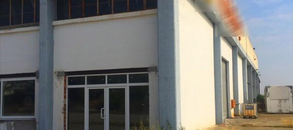 10500m² Property in Imathia, Greece No. 6003 2