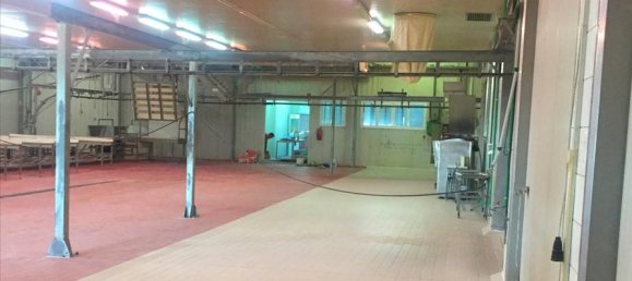 Property in Imathia, Greece 10500m², Nr. 6003 12
