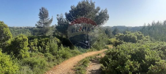 19280m² Land in Sintra, Portugal No. 78424 2