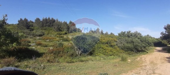 19280m² Land in Sintra, Portugal No. 78424 7
