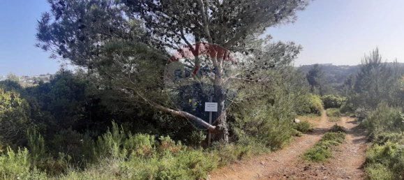 19280m² Land in Sintra, Portugal No. 78424 19