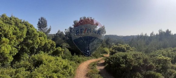 19280m² Land in Sintra, Portugal No. 78424 9
