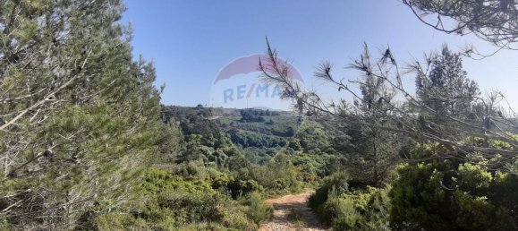 19280m² Land in Sintra, Portugal No. 78424 22