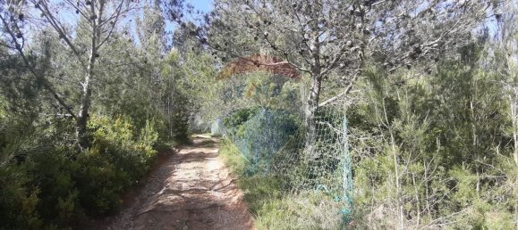 19280m² Land in Sintra, Portugal No. 78424 26