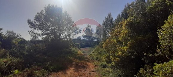19280m² Land in Sintra, Portugal No. 78424 5