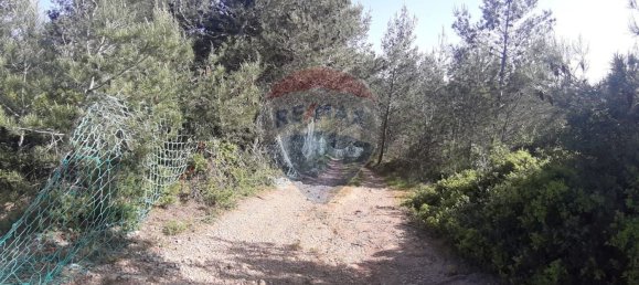 19280m² Land in Sintra, Portugal No. 78424 10