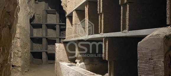 Дом с 3 спальнями в Сент-Мор-де-Турен, Франция № 263612 8