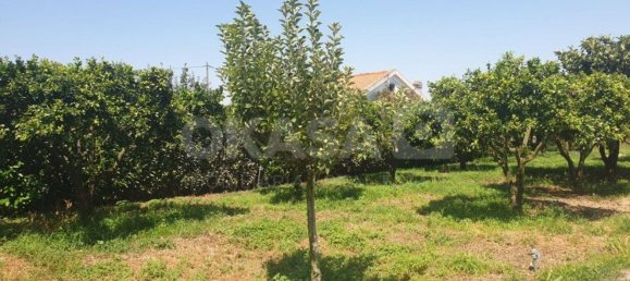 Дом с 7 спальнями в Палмела, Португалия № 71102 18