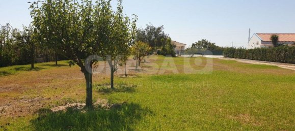 Дом с 7 спальнями в Палмела, Португалия № 71102 21