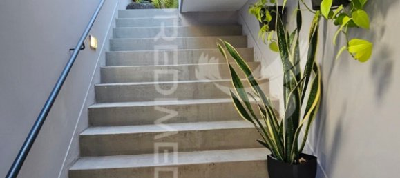 3 chambres Maison à Funchal, Portugal No. 114779 4