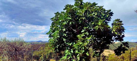 1 bedroom Apartment in Pienza, Italy No. 257809 26