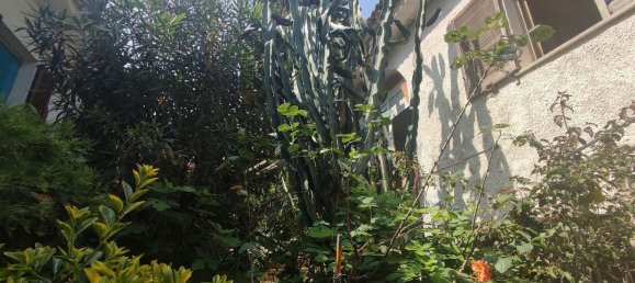 2 bedrooms House in Alcala De Xivert, Spain No. 147692 12