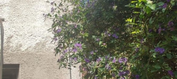 2 bedrooms House in Alcala De Xivert, Spain No. 147692 7