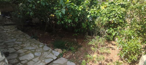 2 bedrooms House in Alcala De Xivert, Spain No. 147692 13