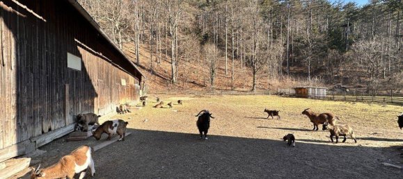 3 rooms Apartment in Ternitz, Austria No. 215904 11