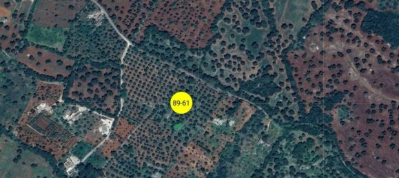 Apartamento de 3 divisões em Ceglie Messapica, Italy N.º 306942 8