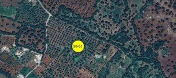 Apartamento de 3 divisões em Ceglie Messapica, Italy N.º 306942 14