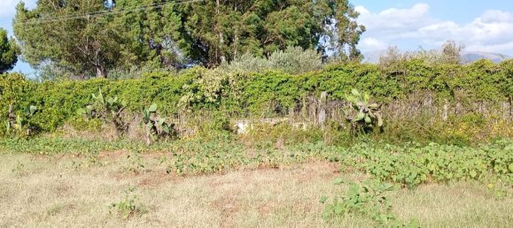  قطعة أرض في Partinico, Italy رقم 376650 10