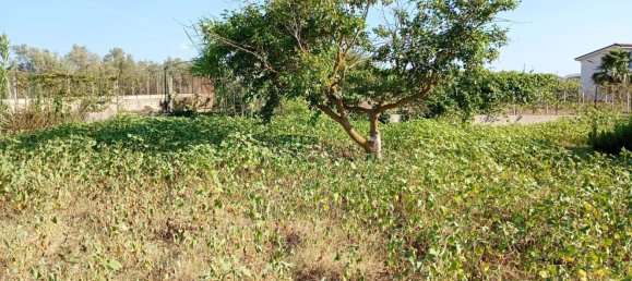  قطعة أرض في Partinico, Italy رقم 376650 11