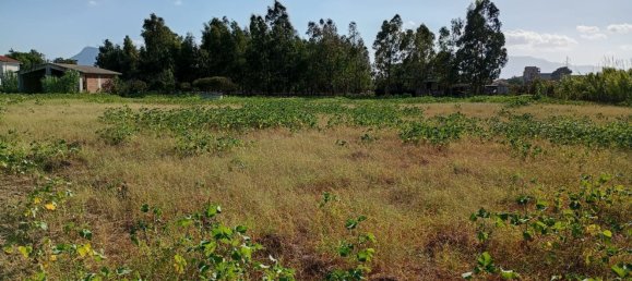  قطعة أرض في Partinico, Italy رقم 376650 3