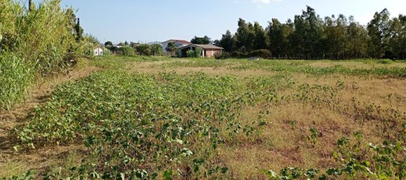  قطعة أرض في Partinico, Italy رقم 376650 2