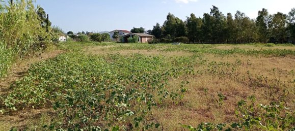  قطعة أرض في Partinico, Italy رقم 376650 8