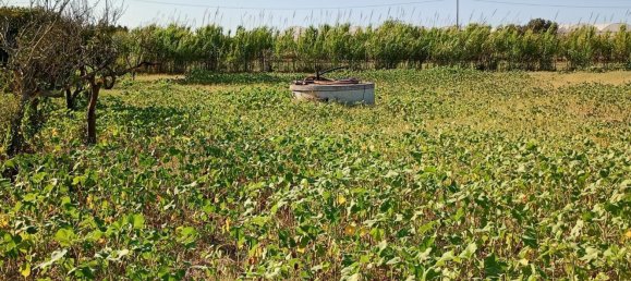  قطعة أرض في Partinico, Italy رقم 376650 23