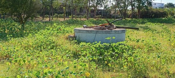  قطعة أرض في Partinico, Italy رقم 376650 5