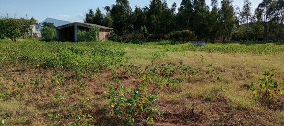  قطعة أرض في Partinico, Italy رقم 376650 12