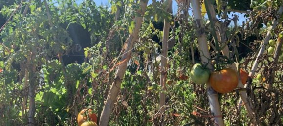 6 bedrooms House in Vinyols i els Arcs, Spain No. 285103 9