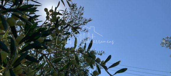 6 bedrooms House in Vinyols i els Arcs, Spain No. 285103 21