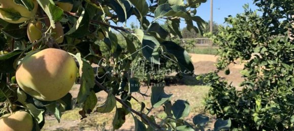 6 bedrooms House in Vinyols i els Arcs, Spain No. 285103 25