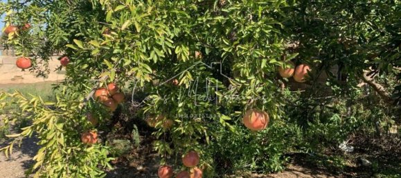 6 bedrooms House in Vinyols i els Arcs, Spain No. 285103 22