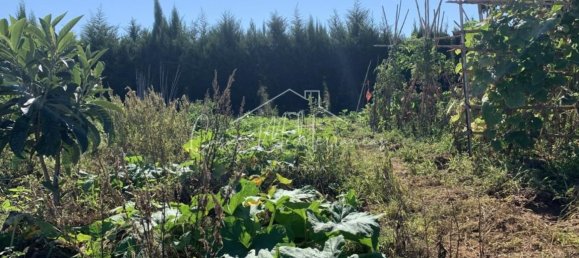 6 bedrooms House in Vinyols i els Arcs, Spain No. 285103 8