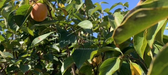 6 bedrooms House in Vinyols i els Arcs, Spain No. 285103 18