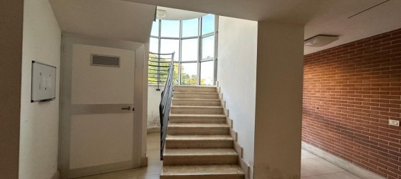 Квартира с 3 комнатами в Монтеротондо, Италия № 199918 17