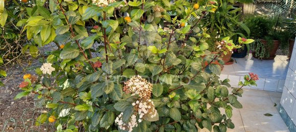 Casa de 3 dormitorios en Setubal, Portugal No. 82871 7