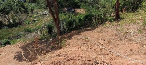 Terreno em Phuket, Thailand 7615 m² N.º 65029 18