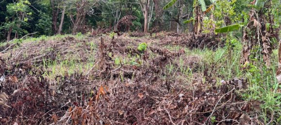 Terreno em Phuket, Thailand 7615 m² N.º 65029 13