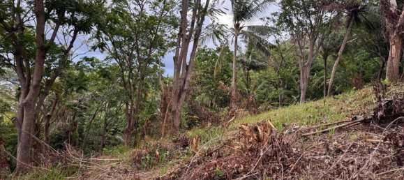 Terreno em Phuket, Thailand 7615 m² N.º 65029 12