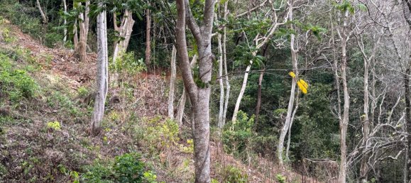 Terreno em Phuket, Thailand 7615 m² N.º 65029 10