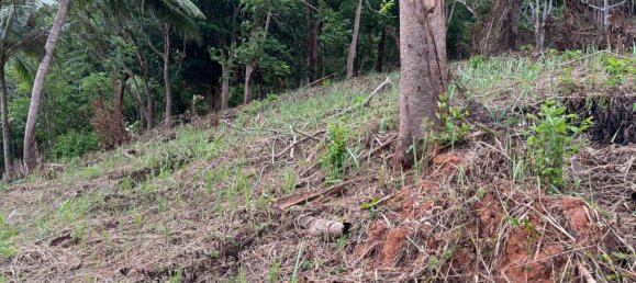 Terreno em Phuket, Thailand 7615 m² N.º 65029 11