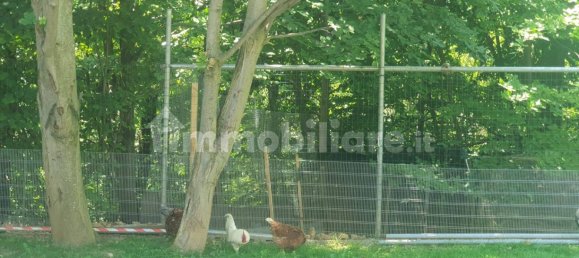 1 bedroom Apartment in Rubiana, Italy No. 264098 24