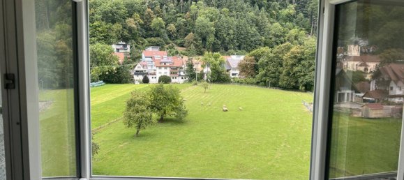 1 Schlafzimmer Wohnung in Freiburg im Breisgau, Germany, Nr. 329074 16