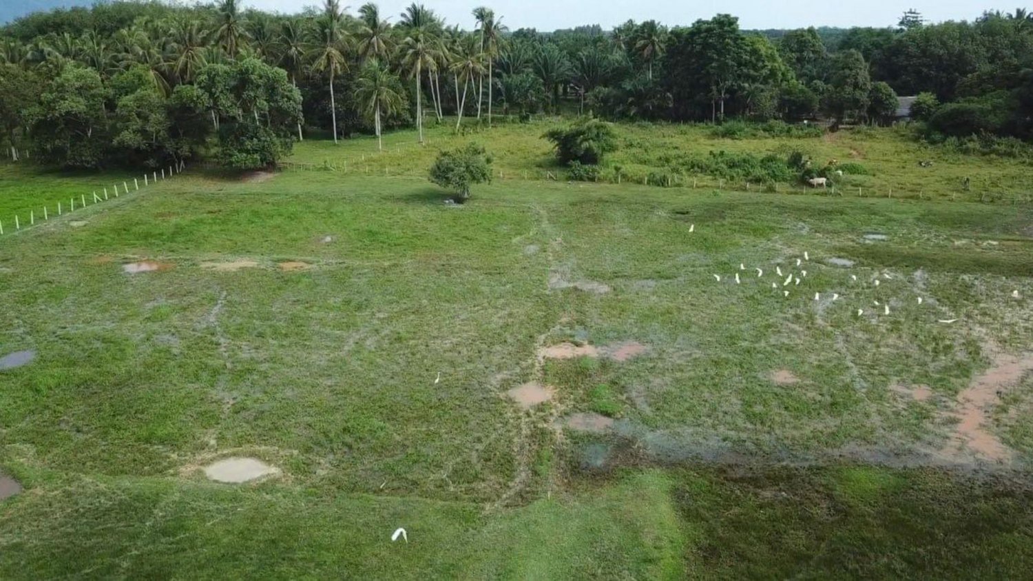  Commercial property in Phang Nga, Thailand No. 11699