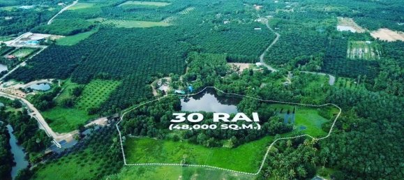  Commercial property in Phang Nga, Thailand No. 11699 4